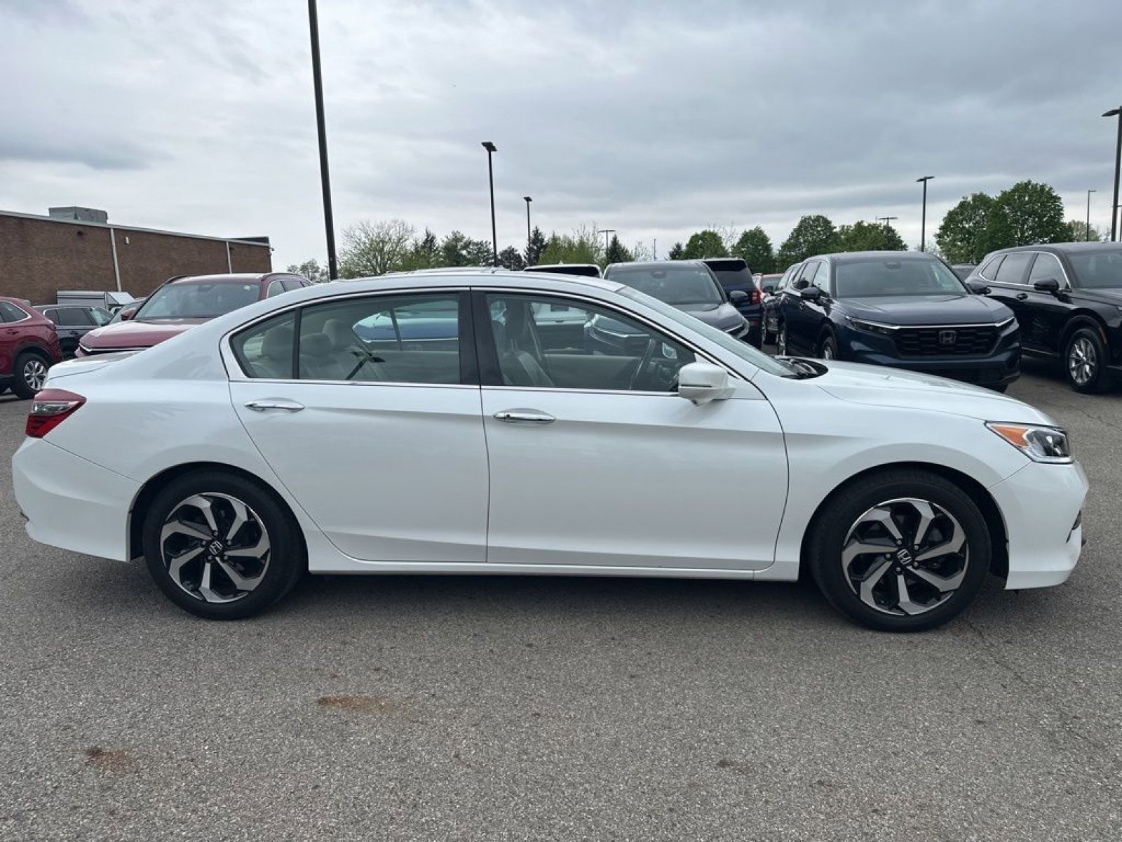 Used 2016 Honda Accord EX-L image 6