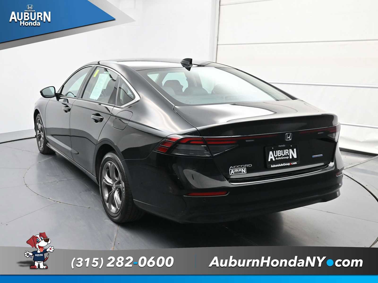 Used 2023 Honda Accord EX-L image 11