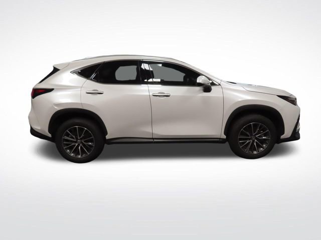 Used 2024 Lexus NX 350h AWD image 7