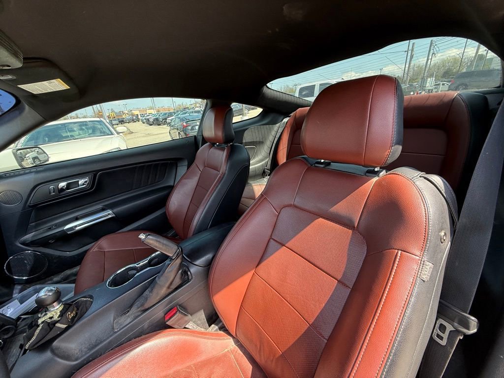 Used 2015 Ford Mustang GT Premium w/ Enhanced Security Package image 13