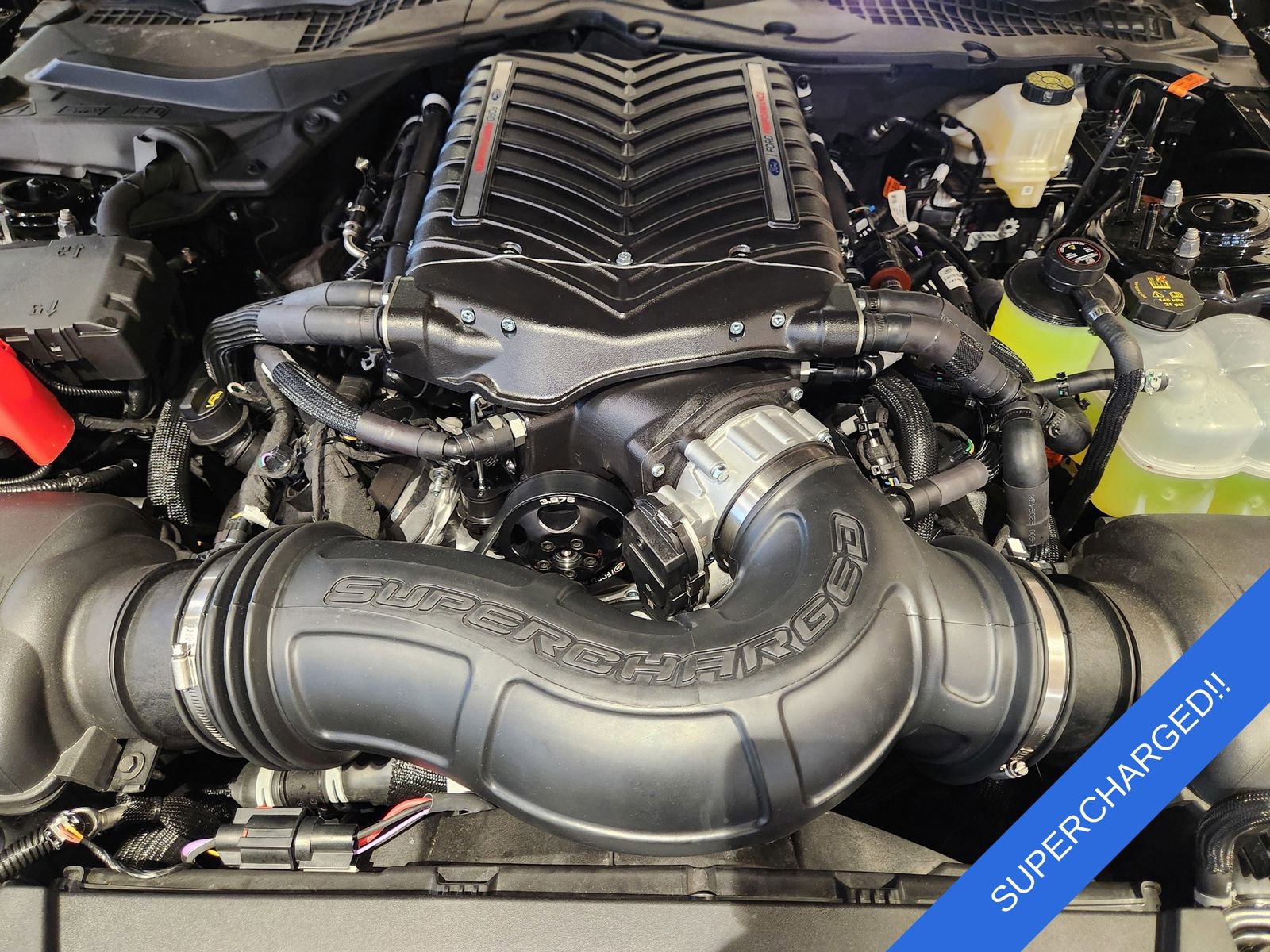 New 2025 Ford Mustang GT Premium w/ Mustang Nite Pony Package image 23