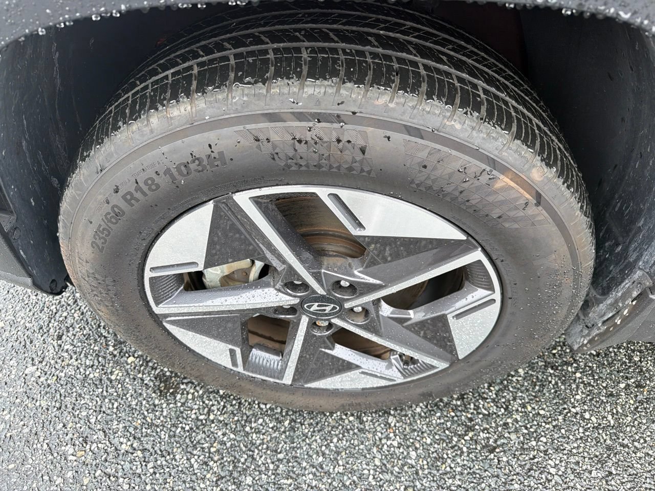 Used 2025 Hyundai Tucson SEL AWD/4WD image 13