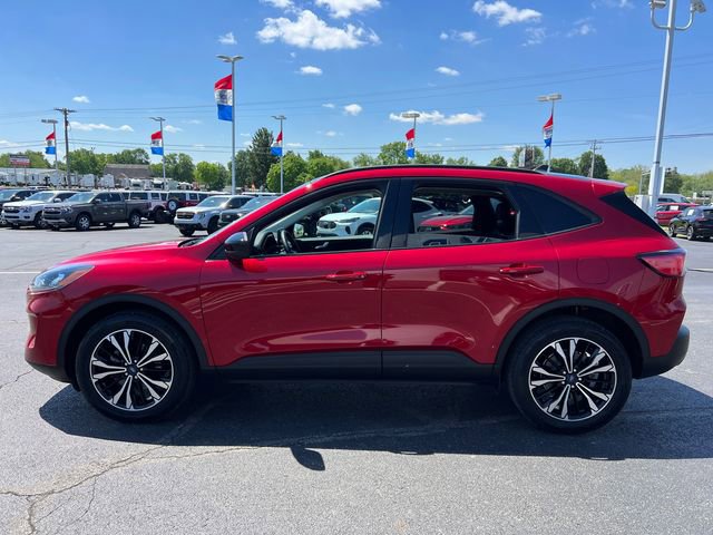 Used 2022 Ford Escape SEL w/ SEL Stealth AWD Package image 4