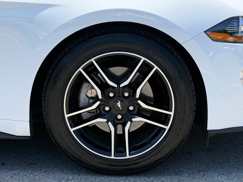 Used 2023 Ford Mustang Premium w/ Equipment Group 201A RWD image 12