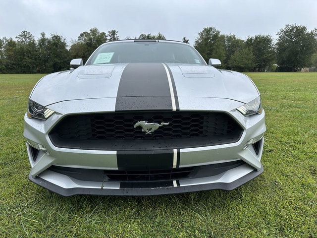 Used 2019 Ford Mustang Premium RWD image 5