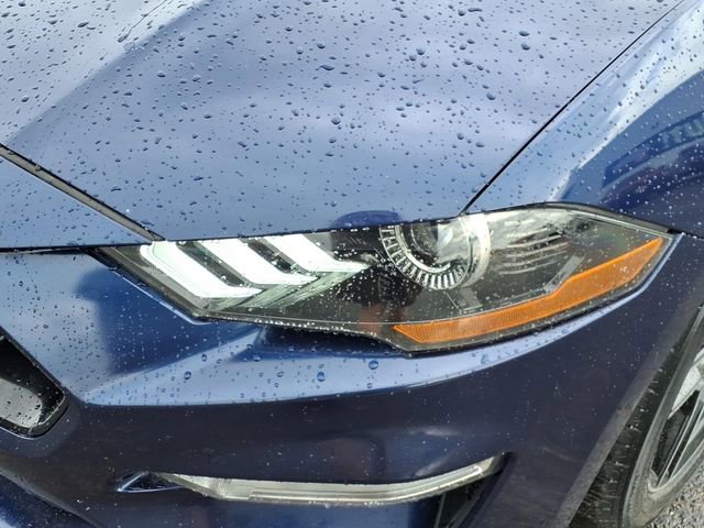 Used 2019 Ford Mustang GT RWD image 9