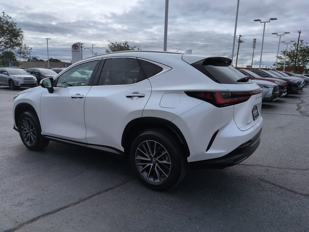 Used 2025 Lexus NX 350h AWD w/ Cold Area Package image 3