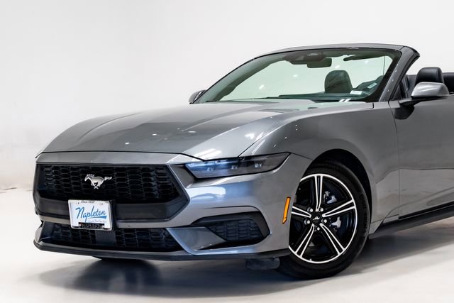 Used 2025 Ford Mustang Premium image 3