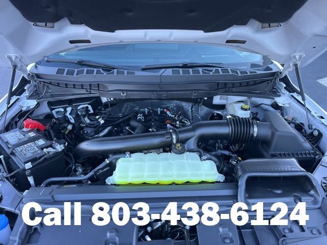 New 2025 Ford F150 Platinum w/ Equipment Group 702A High image 22