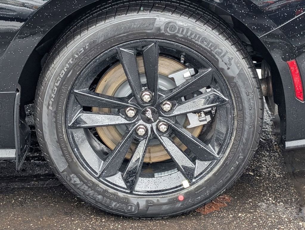 New 2026 Ford Mustang GT image 15