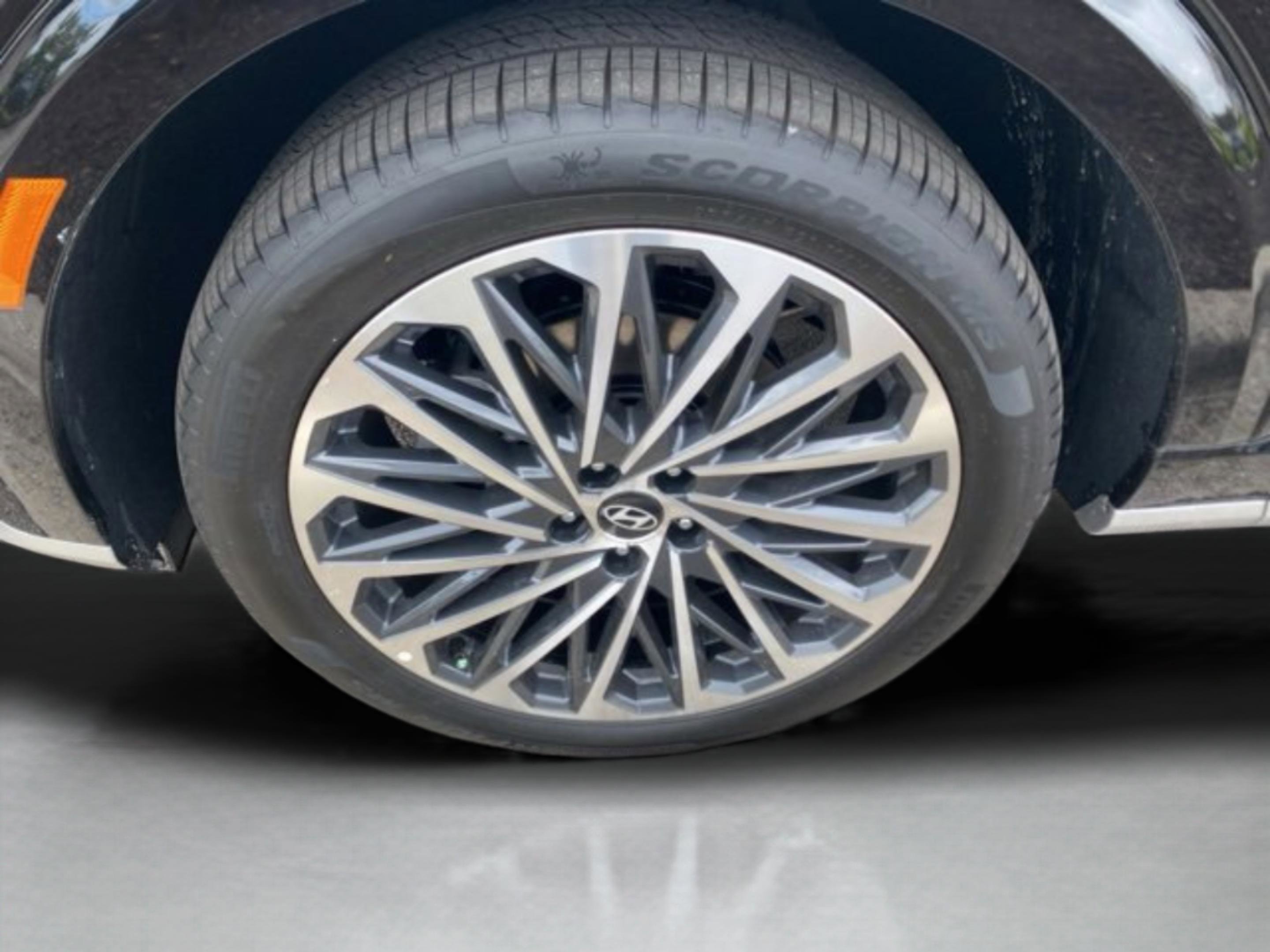 New 2026 Hyundai Palisade Calligraphy image 11