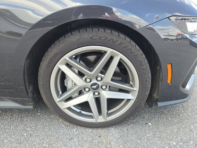 Used 2024 Ford Mustang GT RWD image 6