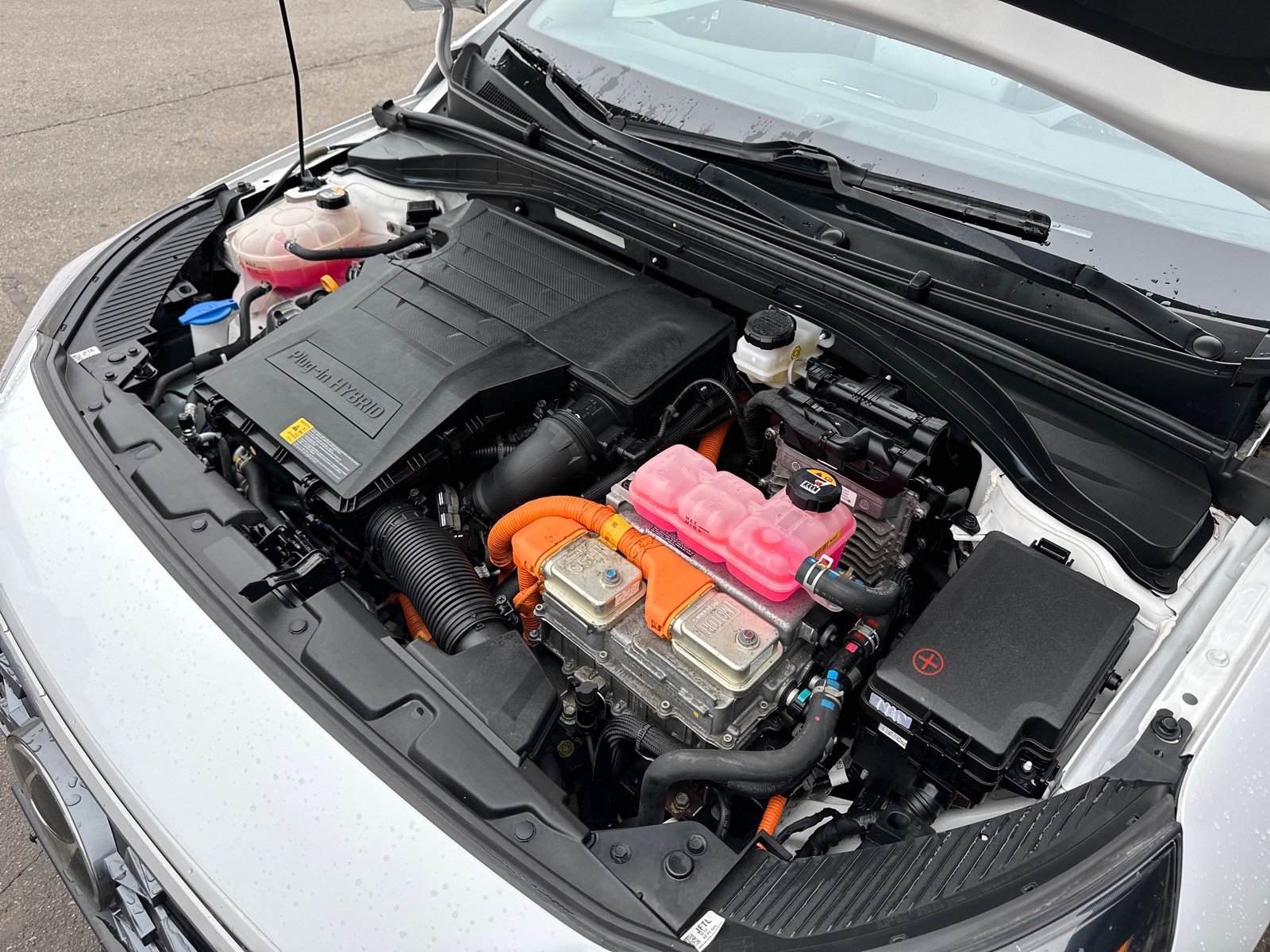 Used 2021 Hyundai Ioniq SEL FWD image 13