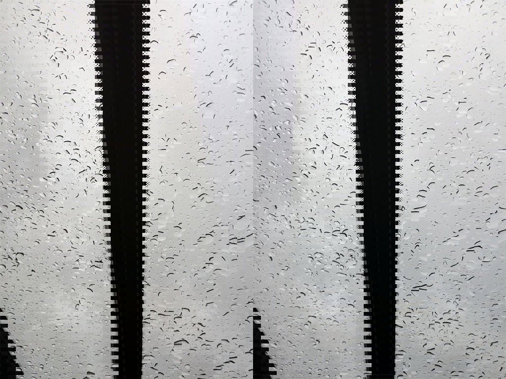 New 2025 BMW X7 xDrive40i w/ Premium Package image 28