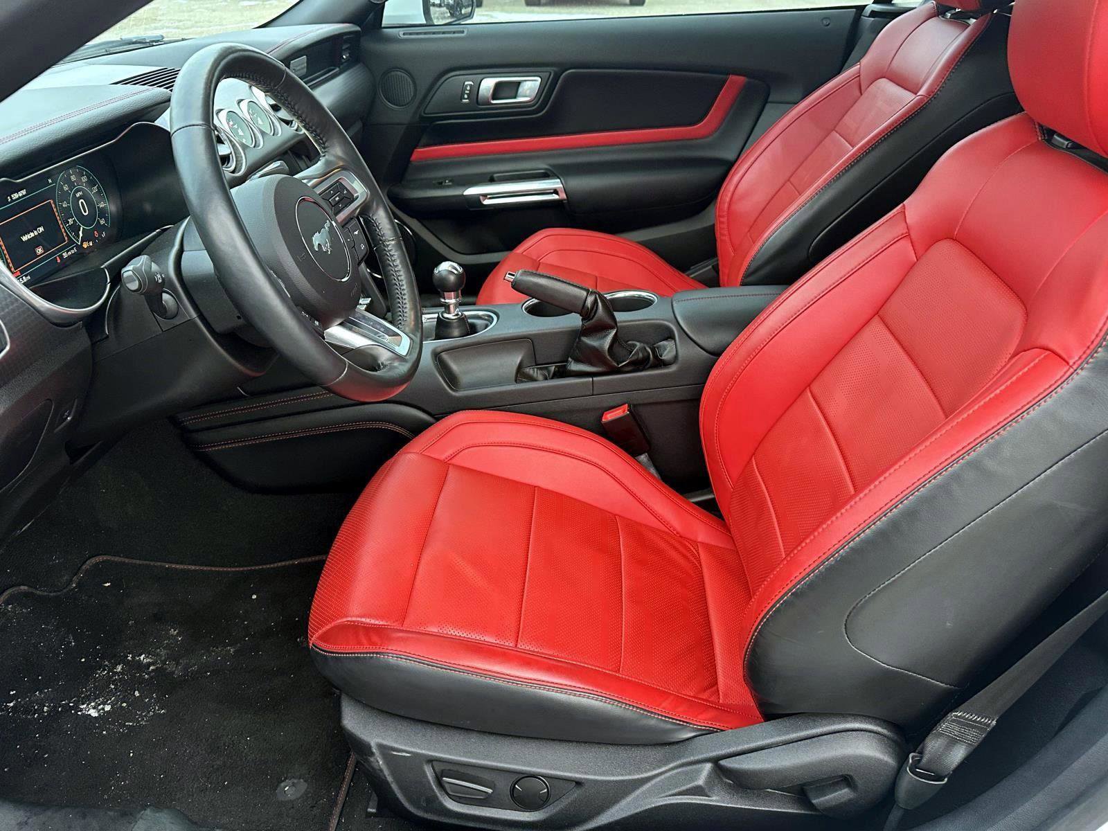 Used 2021 Ford Mustang GT Premium w/ GT Performance Package image 15