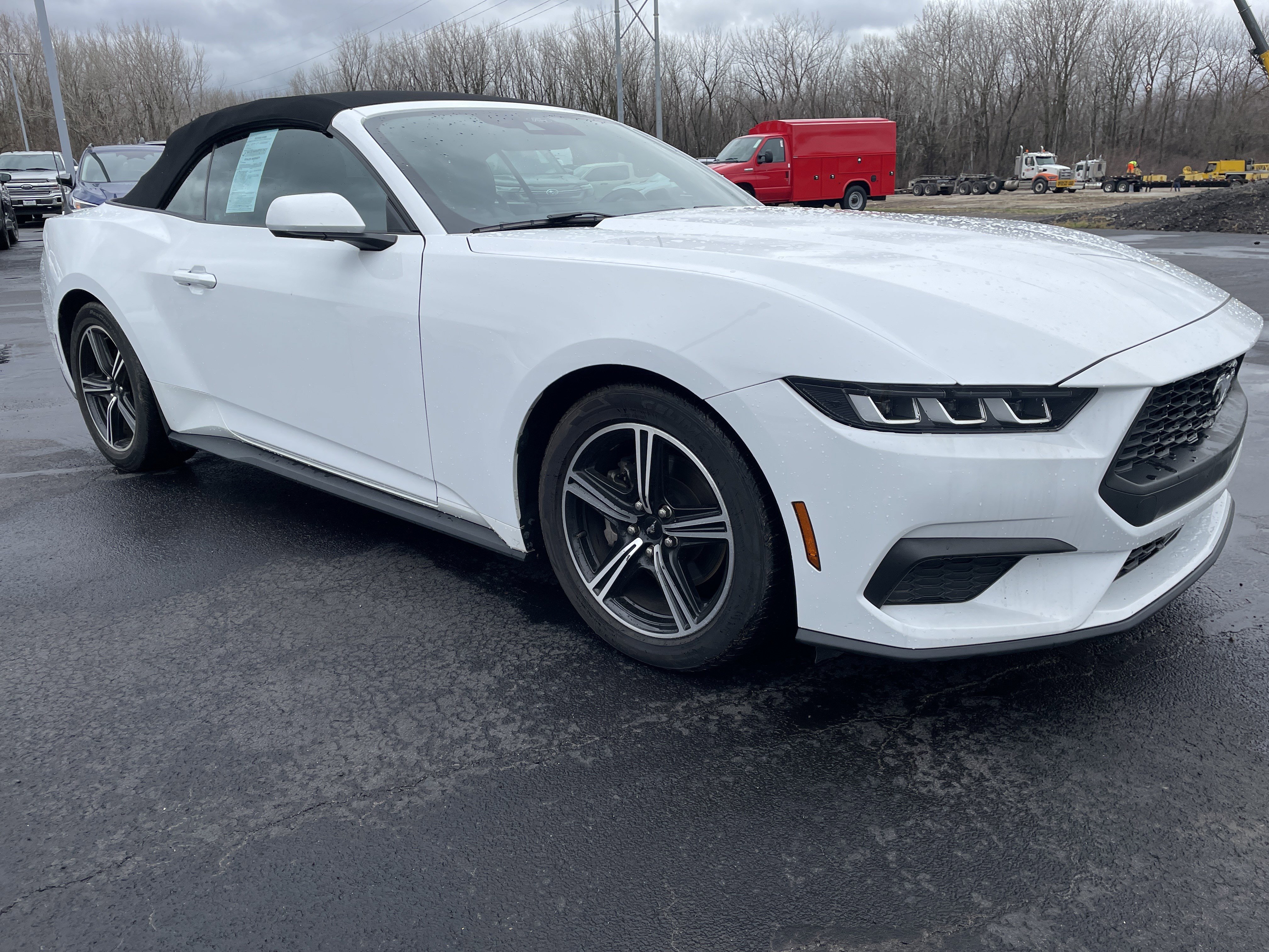 Used 2024 Ford Mustang Premium image 7