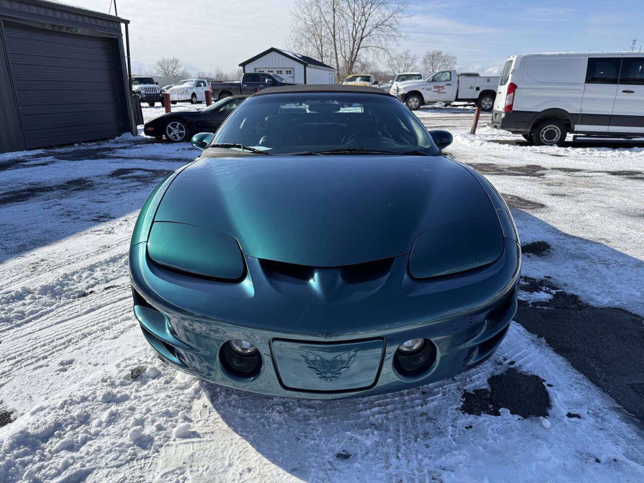 Used 2001 Pontiac Firebird Trans Am RWD image 8