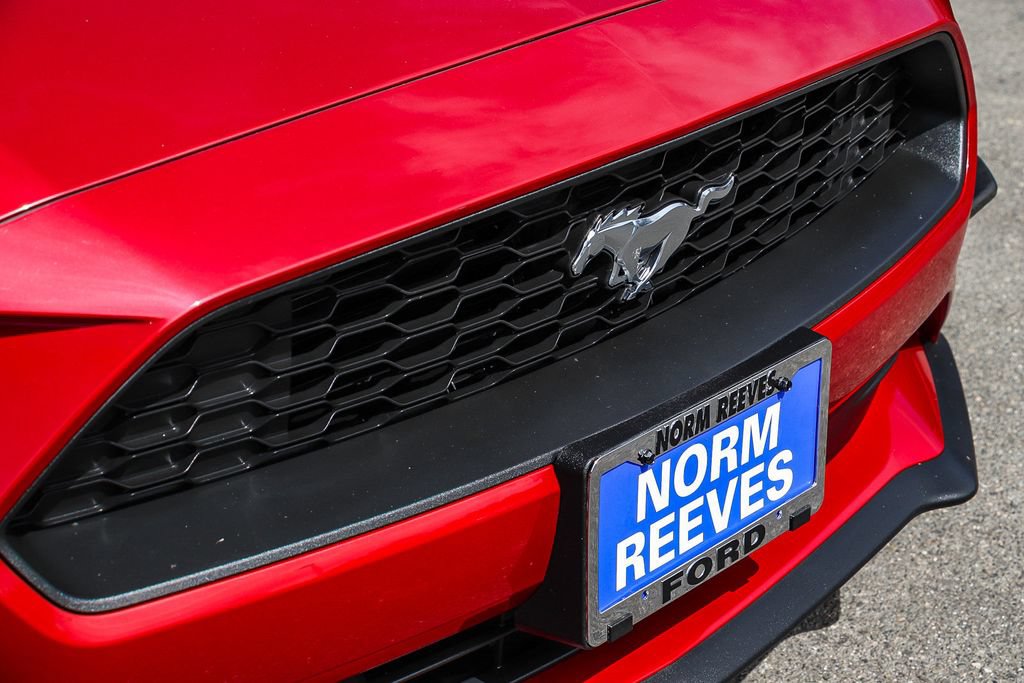 Used 2022 Ford Mustang Coupe w/ Equipment Group 101A RWD image 6