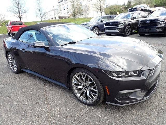 Used 2024 Ford Mustang Premium image 4