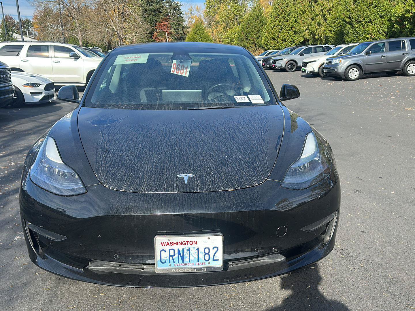 Used 2021 Tesla Model 3 Long Range AWD/4WD image 7