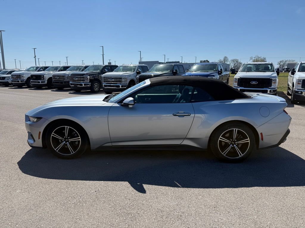 Used 2024 Ford Mustang Premium image 19