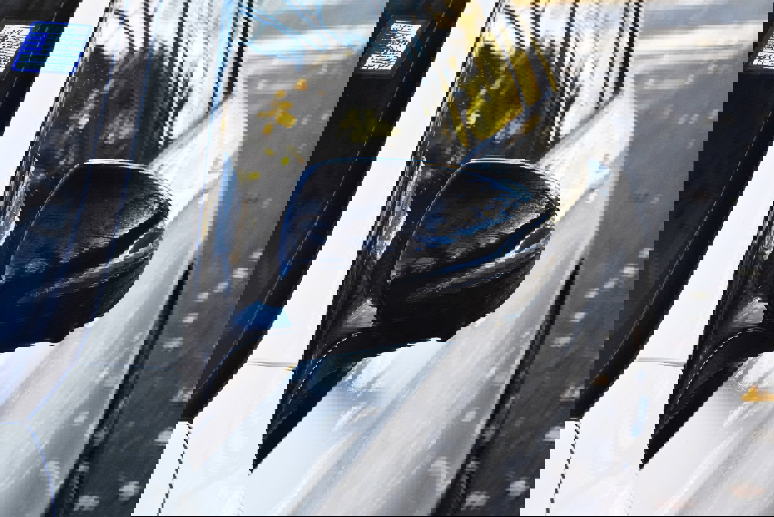 Used 2020 Mercedes-Benz E 53 AMG 4MATIC Sedan image 15