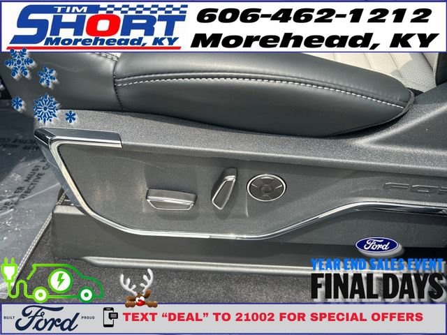 New 2025 Ford F150 Lightning Platinum image 15