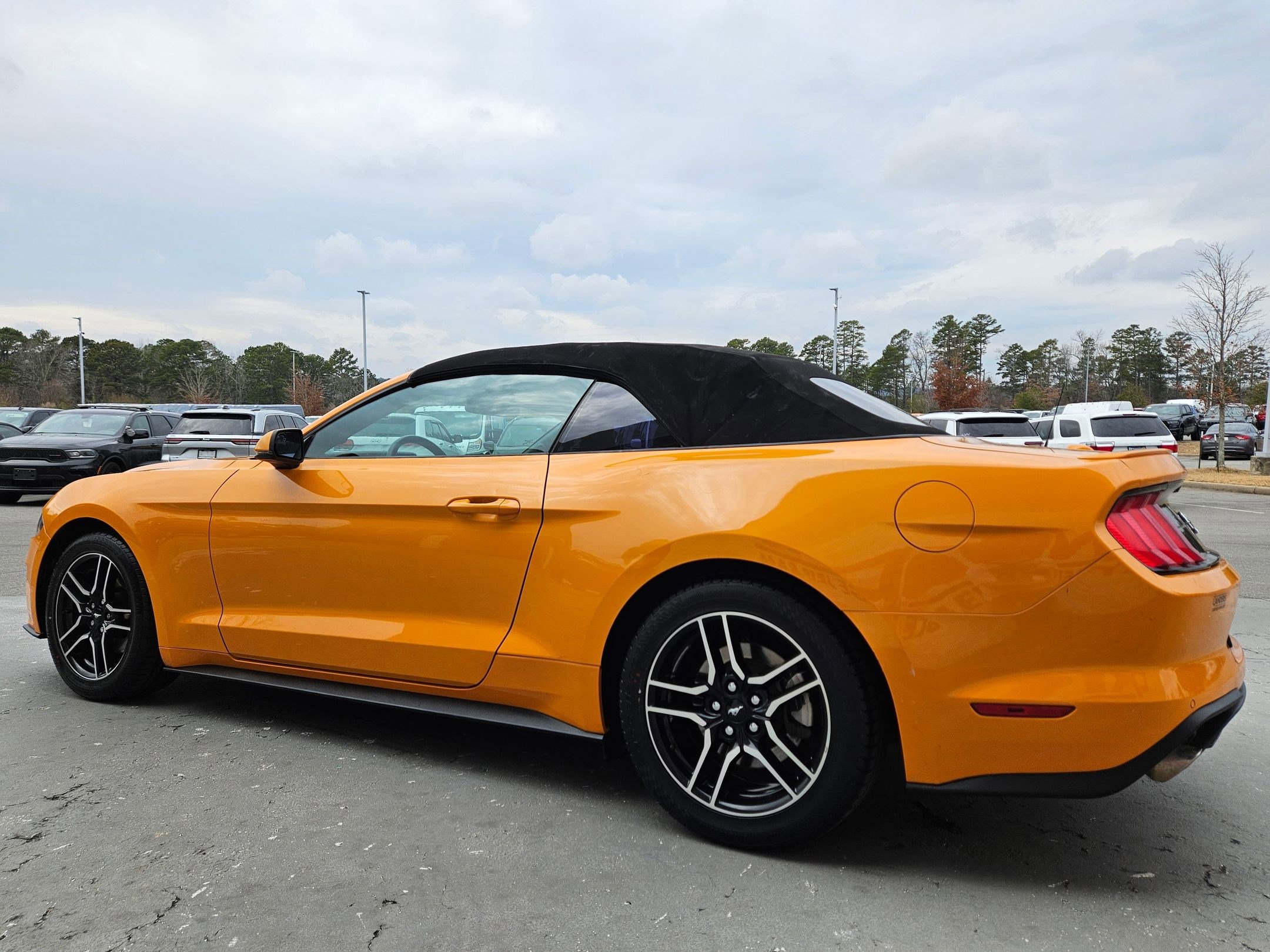 Used 2018 Ford Mustang Premium w/ Equipment Group 201A image 5