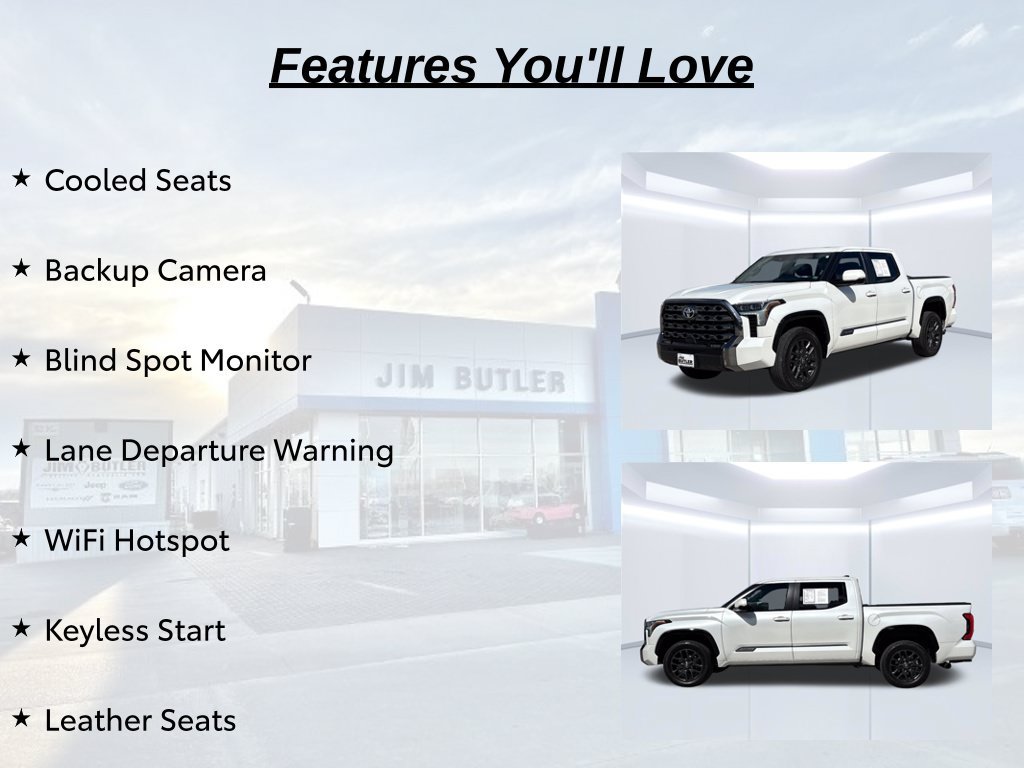 Used 2025 Toyota Tundra Platinum AWD/4WD image 19