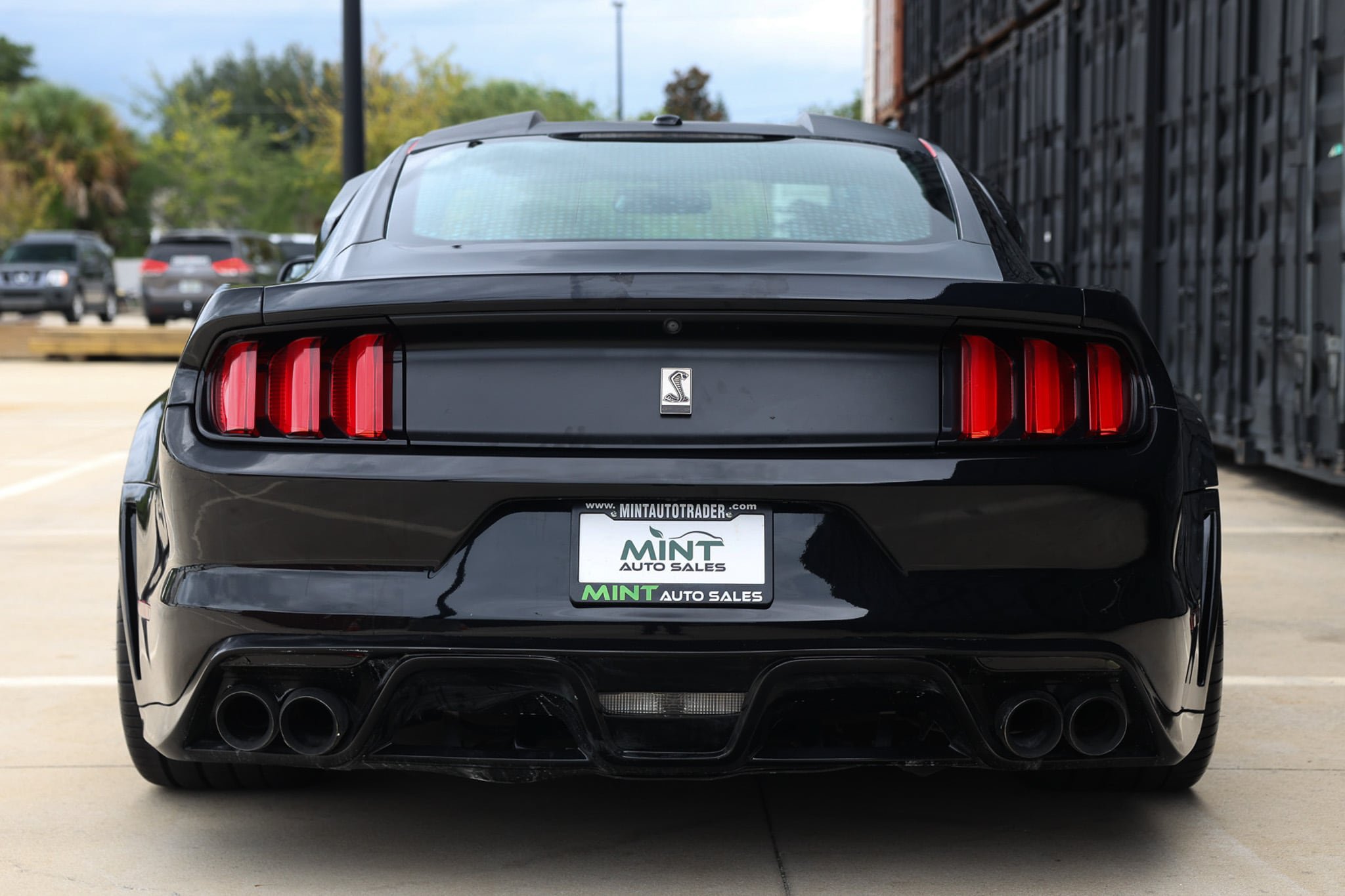 Used 2016 Ford Mustang Shelby GT350 w/ Technology Package RWD image 11