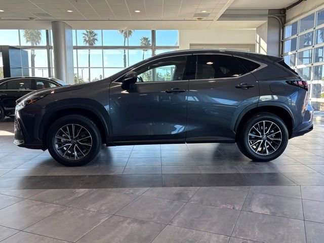 Used 2025 Lexus NX 350 350h Base image 7