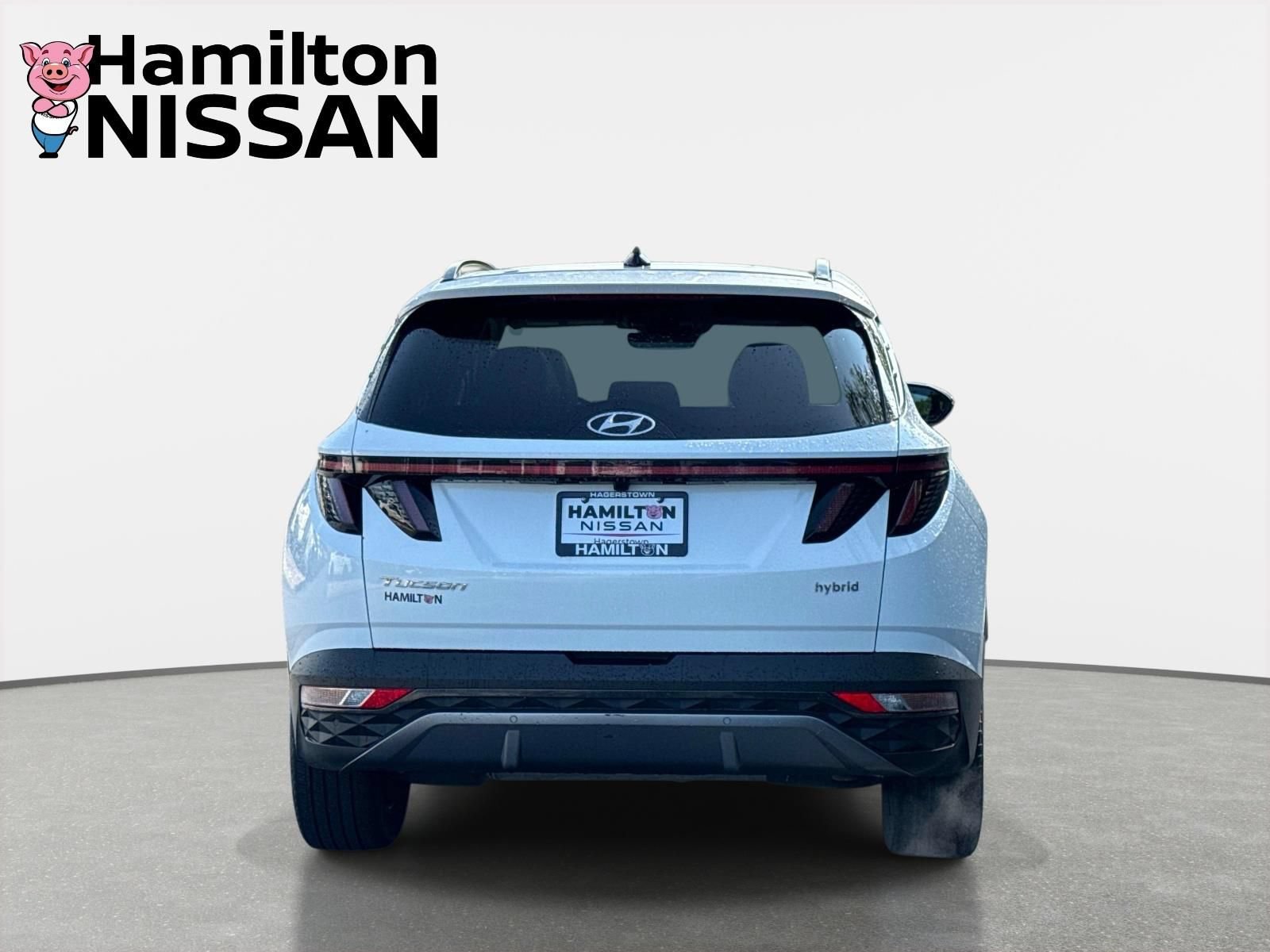 Used 2024 Hyundai Tucson Limited AWD/4WD image 3