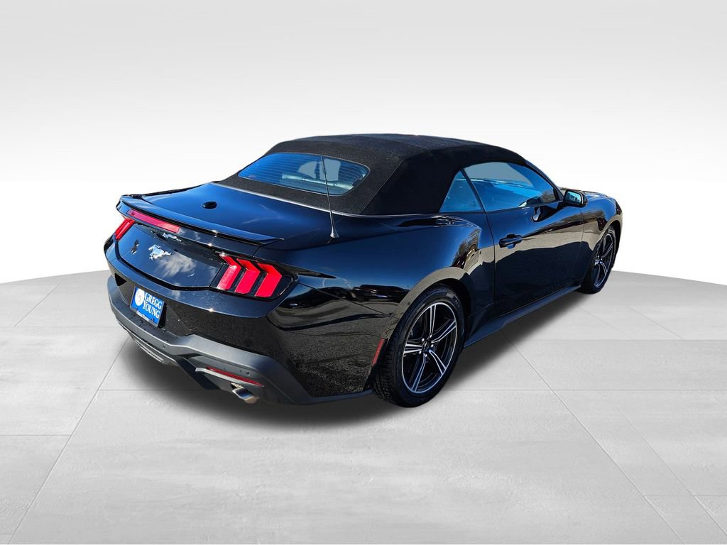 Used 2024 Ford Mustang Premium image 7
