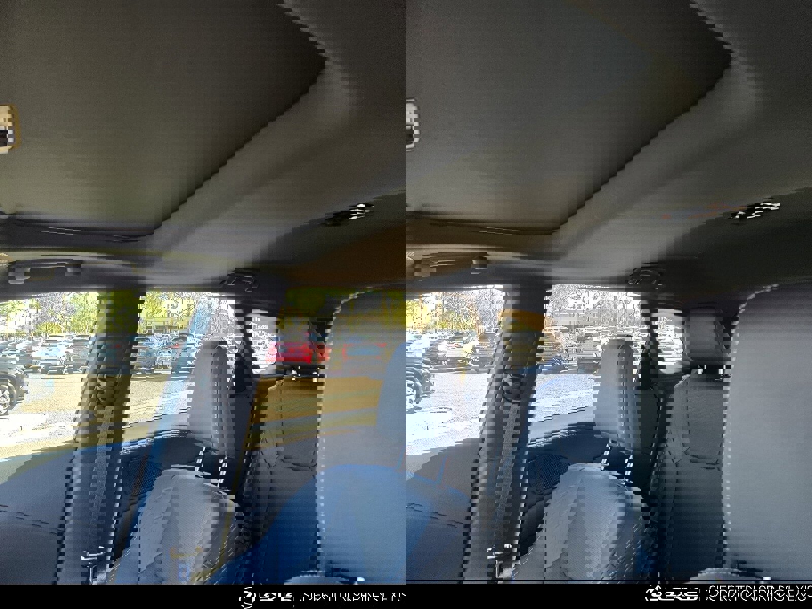 Certified 2024 Lexus RX 350 Premium Plus image 15