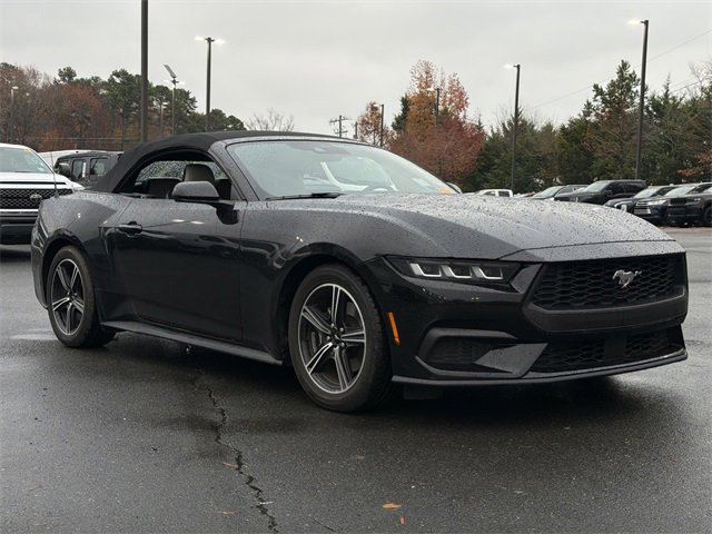 Used 2024 Ford Mustang Premium image 15