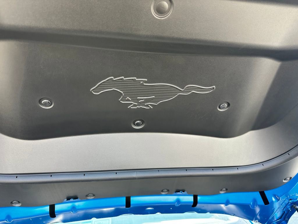 New 2025 Ford Mustang Mach-E GT w/ Interior Protection Package image 25