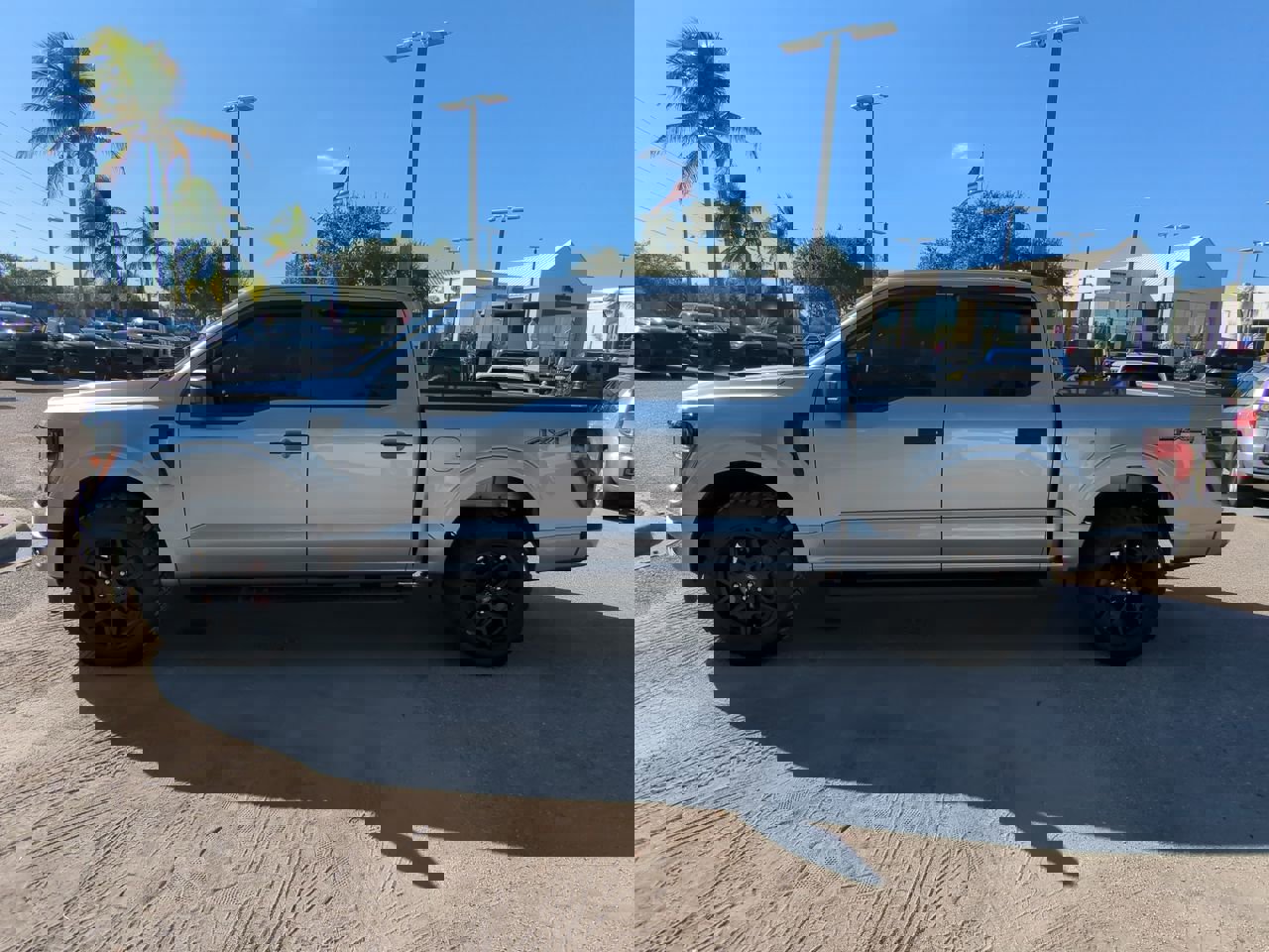 Used 2025 Ford F150 STX w/ STX Black Appearance Package image 8