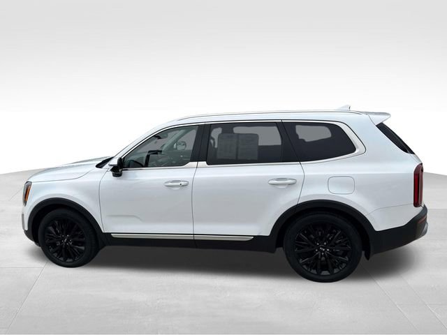 Used 2020 Kia Telluride SX w/ Towing Package image 6