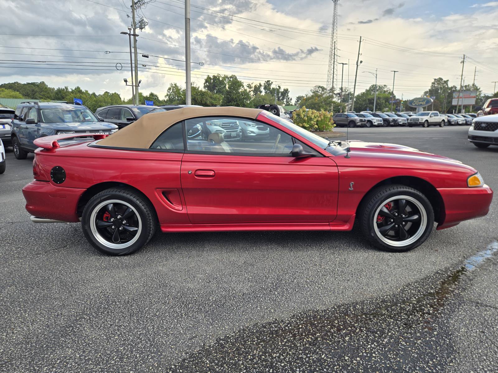 Used 1998 Ford Mustang Cobra RWD image 7