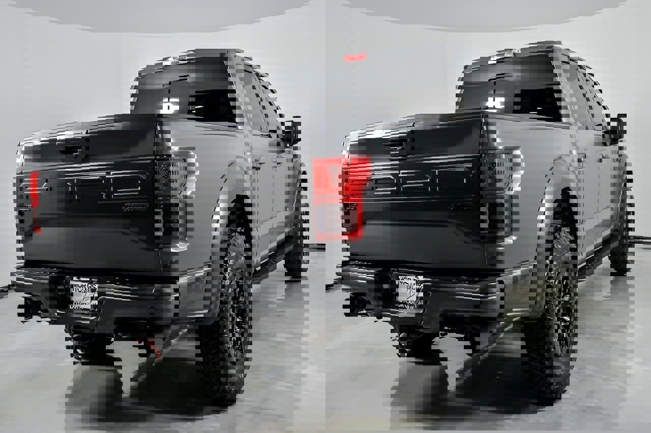 Used 2018 Ford F150 Raptor w/ Equipment Group 802A Luxury image 12