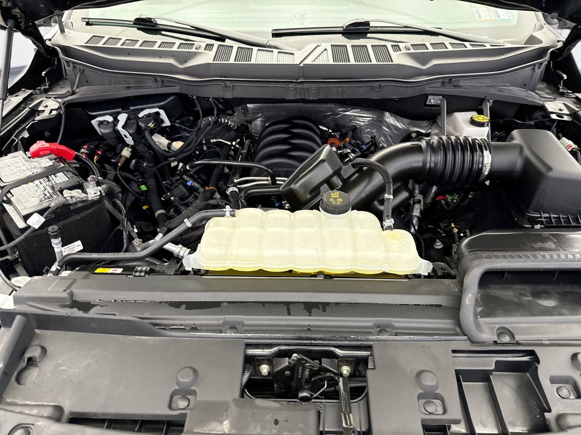 Used 2025 Ford F150 XLT w/ Equipment Group 301A Standard image 21