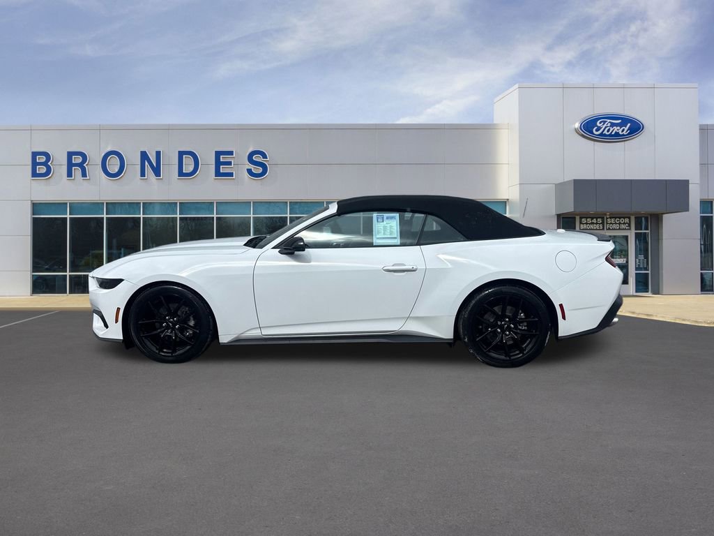 Used 2025 Ford Mustang Premium image 1