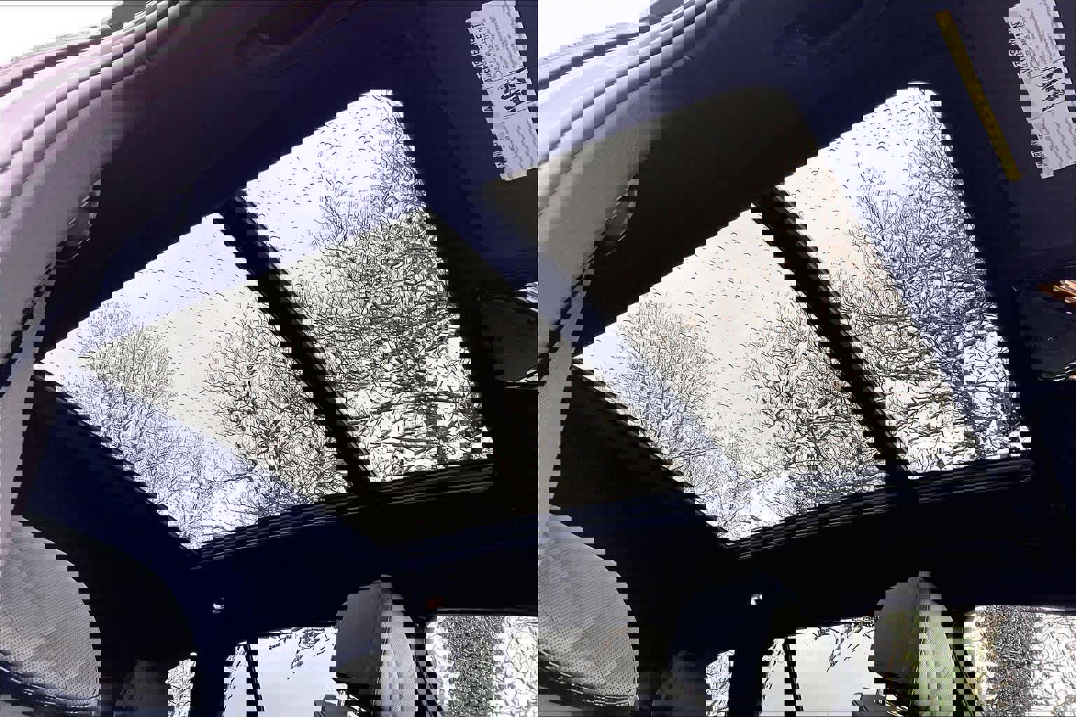 Used 2023 BMW X5 xDrive40i w/ Luxury Seating Package image 14