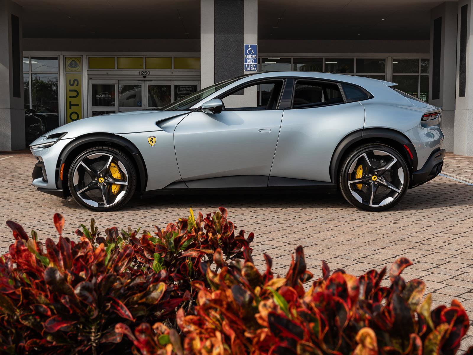 Used 2025 Ferrari Purosangue image 27