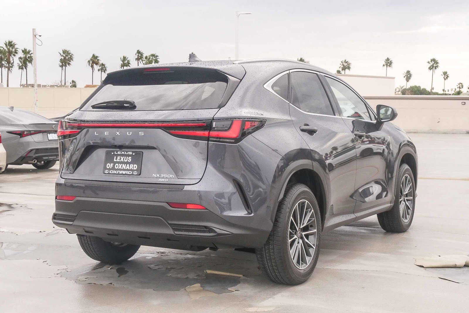 New 2026 Lexus NX 350h AWD w/ Premium Package image 8