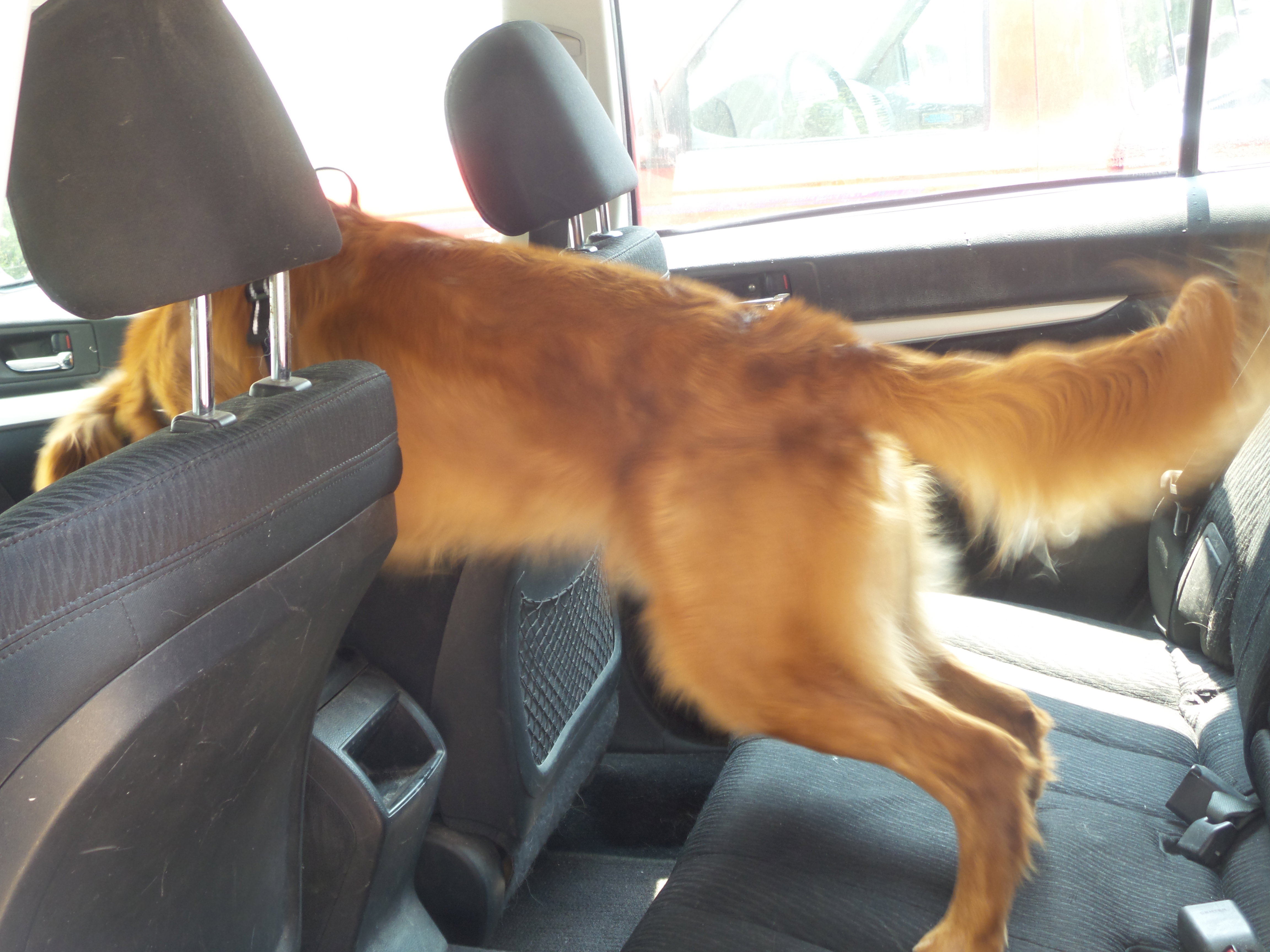 Used 2010 Subaru Outback 2.5i image 51