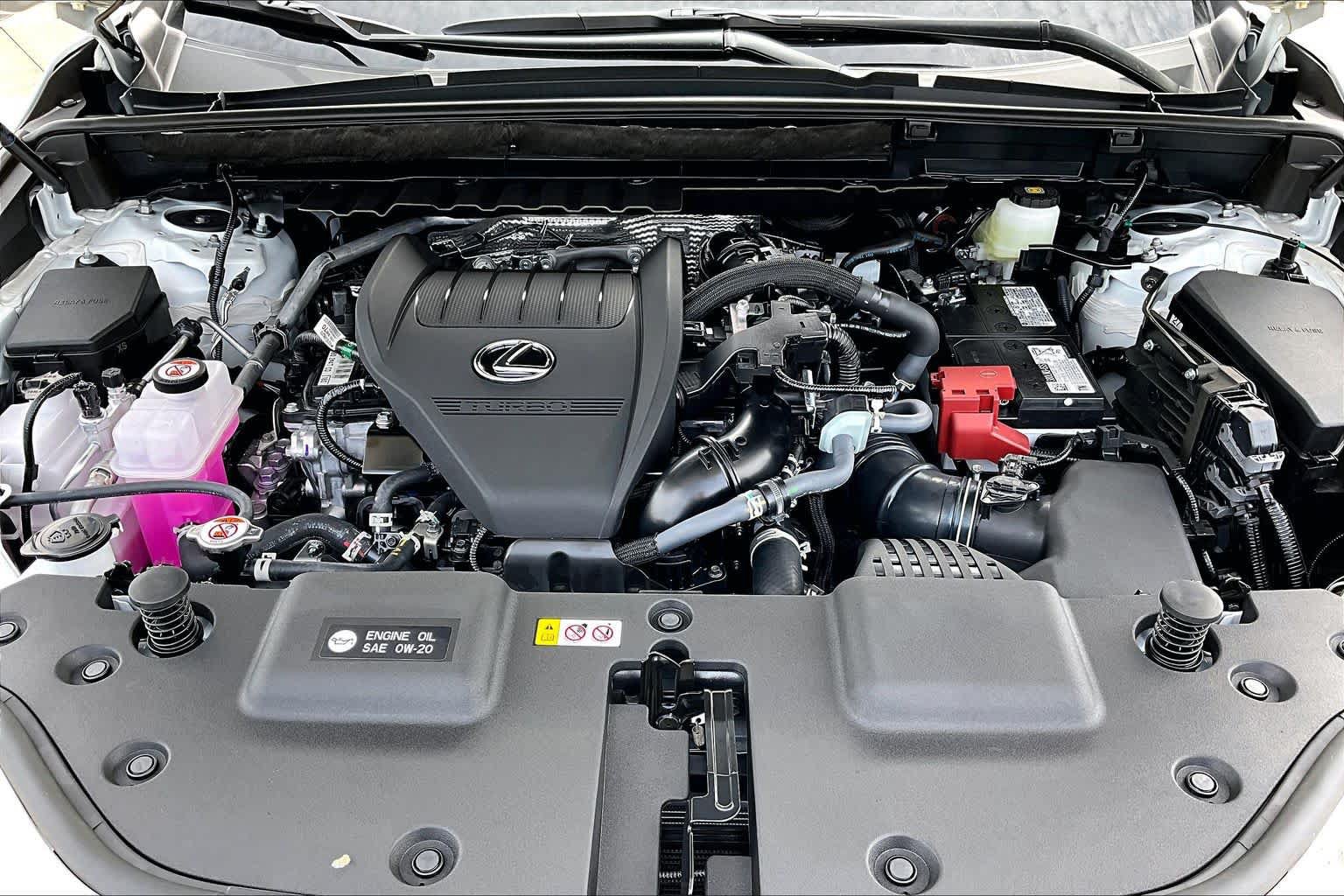 New 2026 Lexus NX 350 AWD w/ Cold Area Package image 16