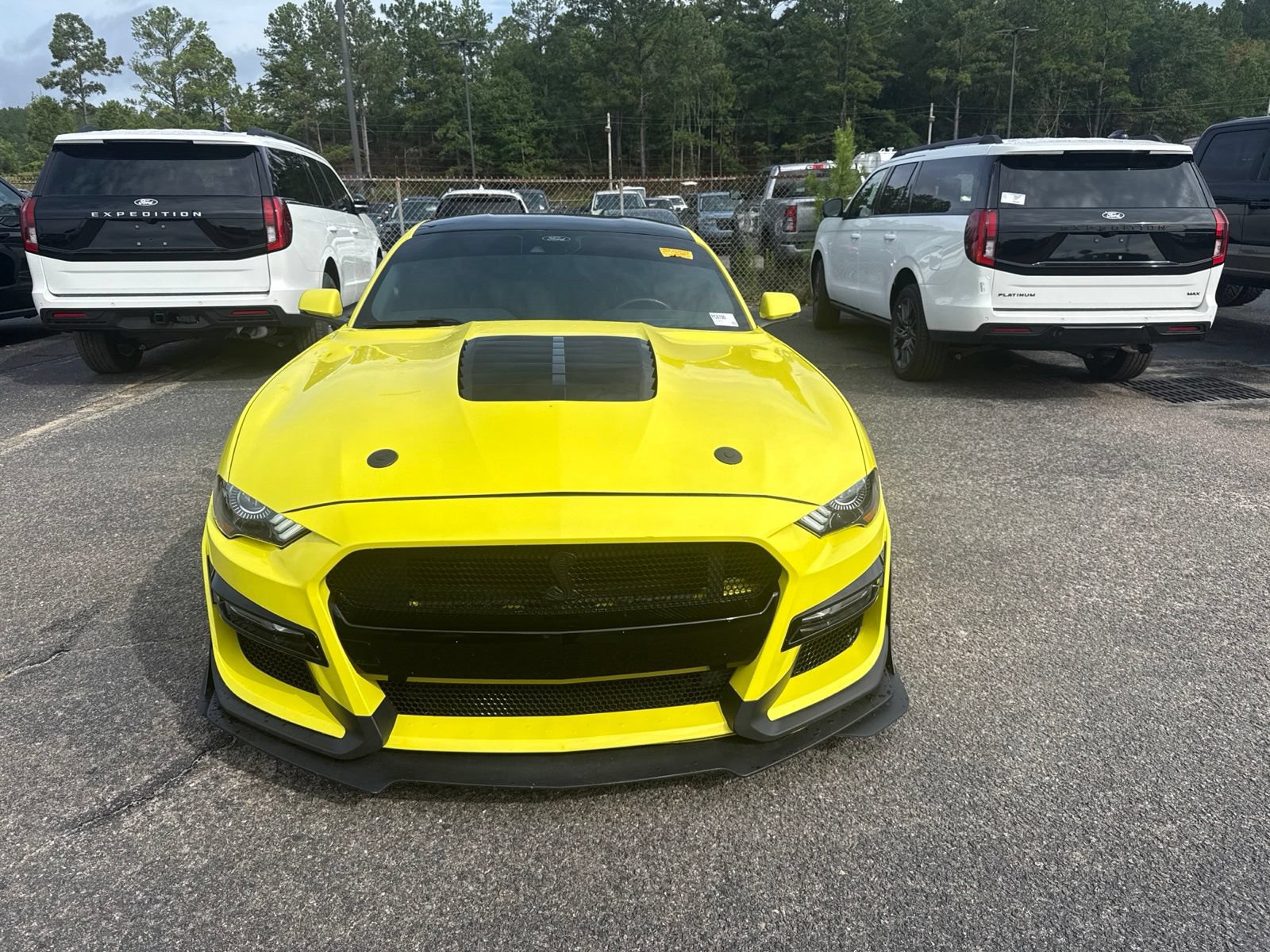 Used 2021 Ford Mustang GT Premium w/ Equipment Group 401A RWD image 2