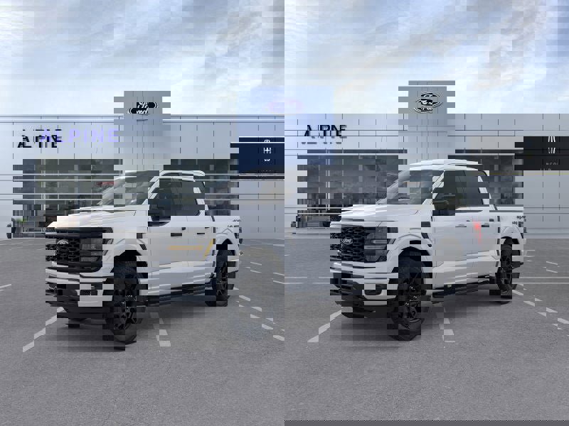 New 2025 Ford F150 STX w/ STX Black Appearance Package