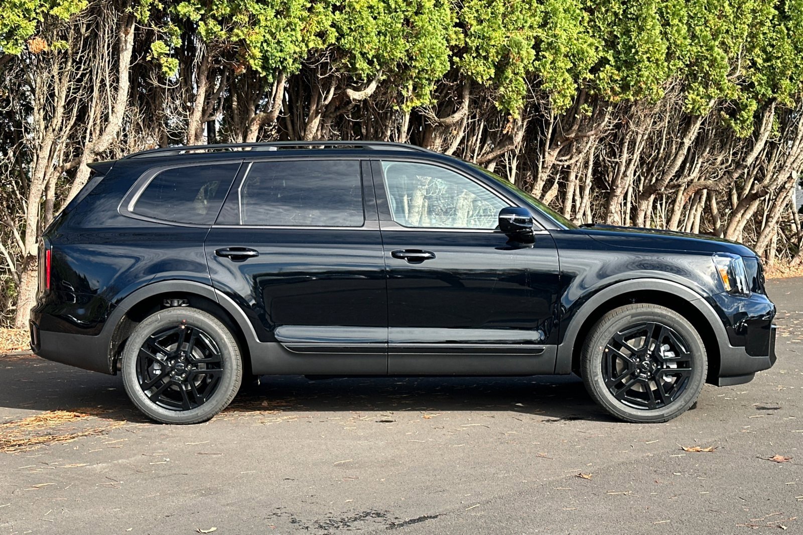 New 2025 Kia Telluride SX X-Line image 2